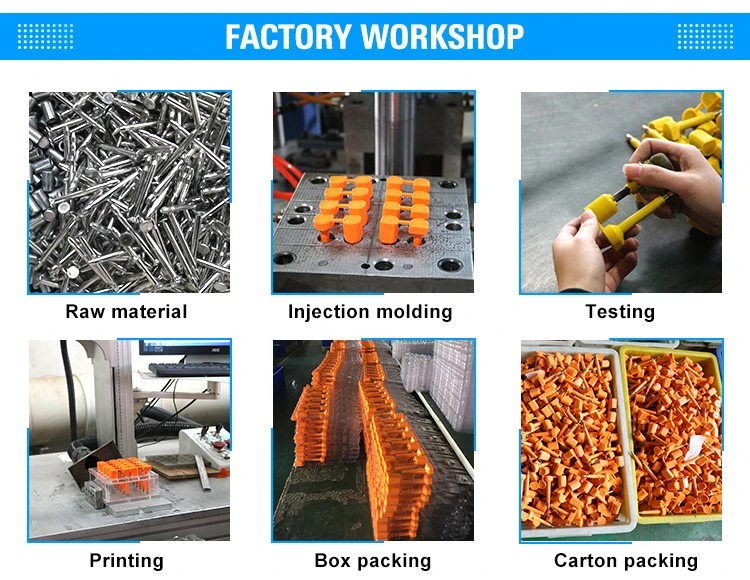 product-750-580 product-750-580